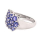 925 Sterling Silver Tanzanite Gemstone And Blue Zircon Gemstone Ring For Women's