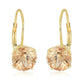 14Kt Yellow Gold Morganite Earring - Pinctore